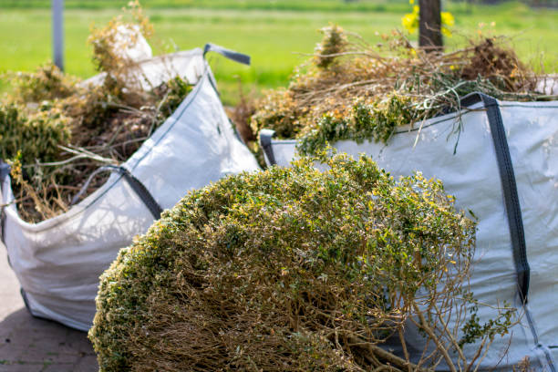 Best Same-Day Junk Removal  in Knollwood, IL